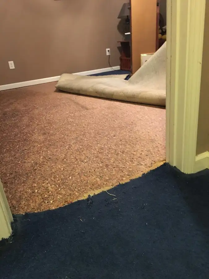 Carpet pad removal revealing water damage during Drying & Dehumidification in Ocean Pointe