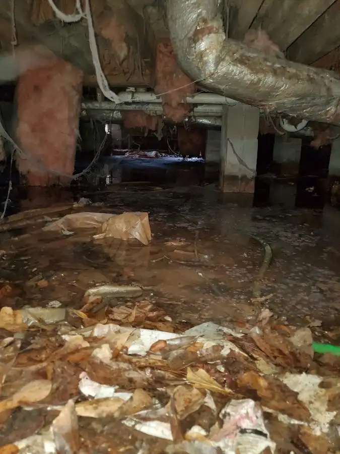 Crawl space flood assessment for Leak Detection & Repair in Ocean Pointe